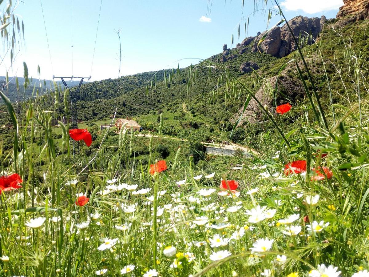 villa Garibaldi Agüero Esterno foto